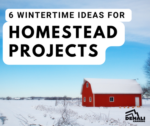 6 winter time ideas for homestead projects