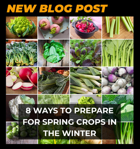 8 ways to prepare for spring crops in the winter