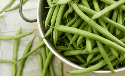 How To Can Green Beans With Denali Canning
