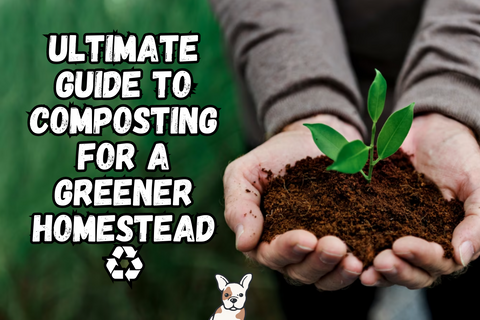 Ultimate guide to composting for a greener homestead