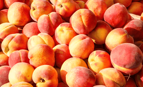 Preserved Peaches With Denali Canning