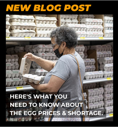 Need to know about the egg prices and shortage