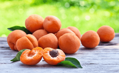 Conserve Apricots With Denali Wide Mouth Jar Lids
