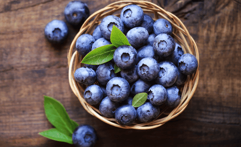 Preserve Blueberries in Canning With Denali Canning