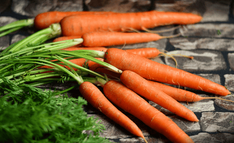 How To Can Carrots With Denali Canning