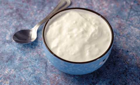How To Can Yogurt With Denali Canning